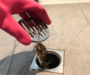 A hair clog in a gurgling shower drain in the bathroom.